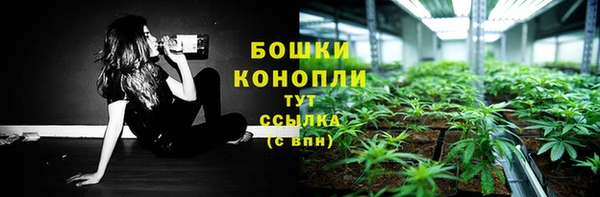 apvp Кукмор