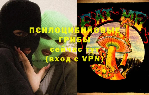 МДПВ Кулебаки