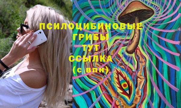 ГАЛЛЮЦИНОГЕННЫЕ ГРИБЫ Куйбышев
