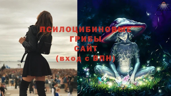 ГАЛЛЮЦИНОГЕННЫЕ ГРИБЫ Куйбышев