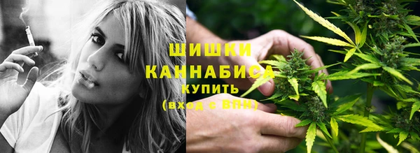 apvp Кукмор