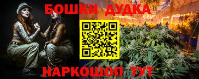 индика Жуковский
