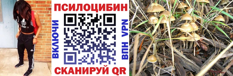 omg зеркало  Усть-Илимск  Псилоцибиновые грибы ЛСД 