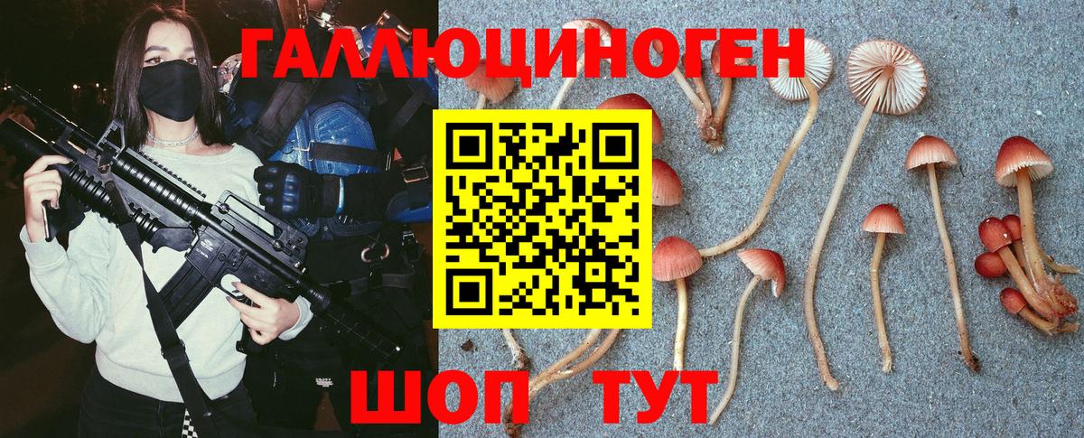 Усть-Илимск  Галлюциногенные грибы мухоморы  Вход с VPN  Галлюциногенные грибы мухоморы 